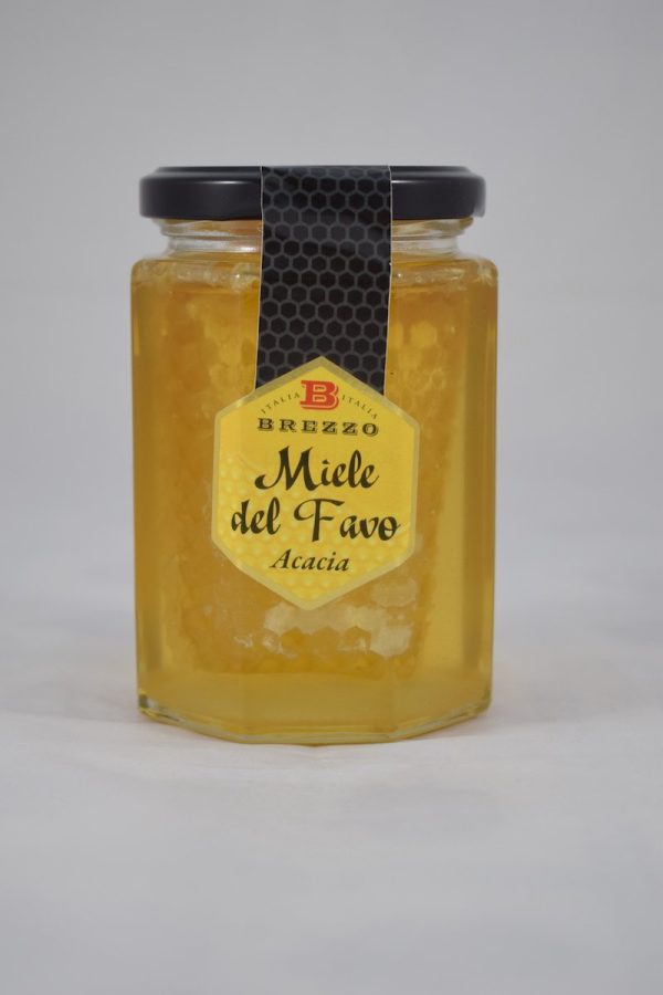 MIELE DEL FAVO GR.300 APICOLTURA BREZZO