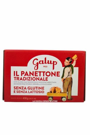 Panettone tradizionale senza lattosio gr 400 Galup