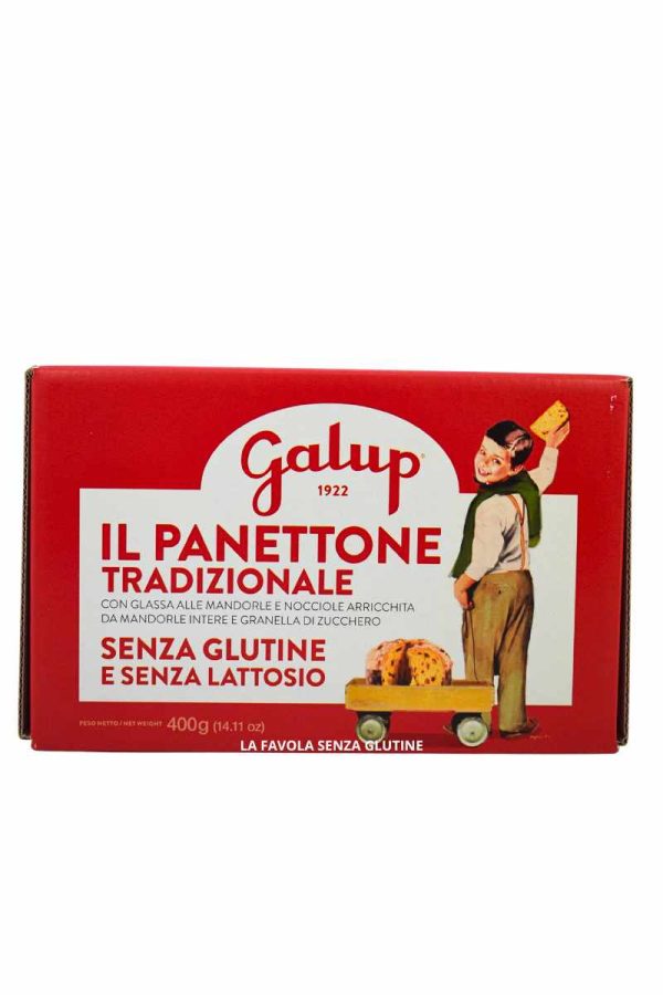 Panettone tradizionale senza lattosio gr 400 Galup