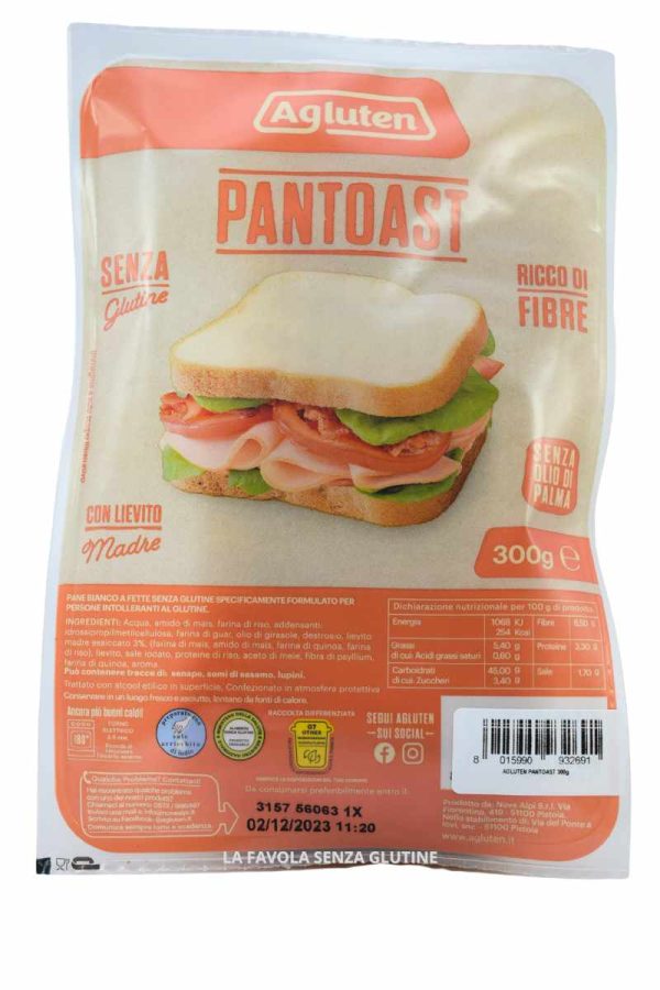 Pantoast senza latte gr 300 Agluten