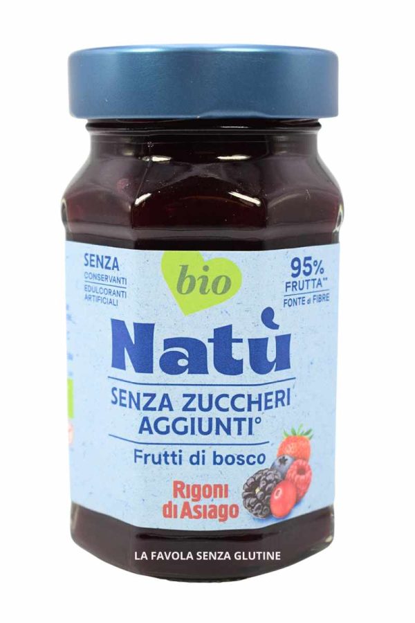 Preparazione natù bio gusto frutti di bosco senza zuccheri aggiunti vegan gr 240 Rigoni di Asiago