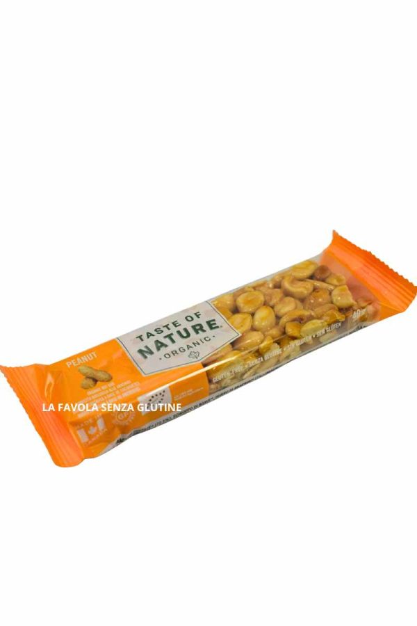 SNACK BARRETTA AGLI ARACHIDI GR 40 TASTE OF NATURE