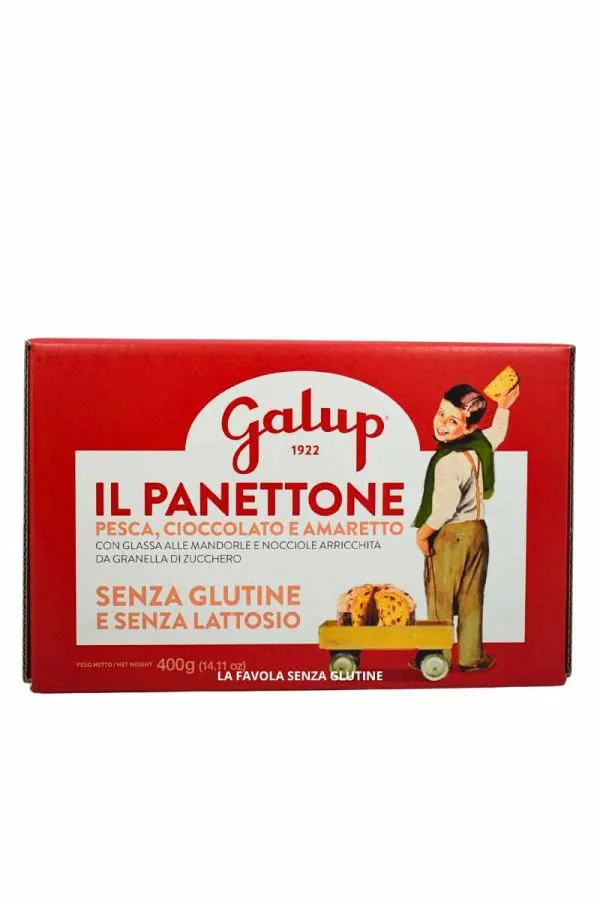 Panettone artigianale pesca, cioccolato e amaretto senza lattosio gr 400 Galup